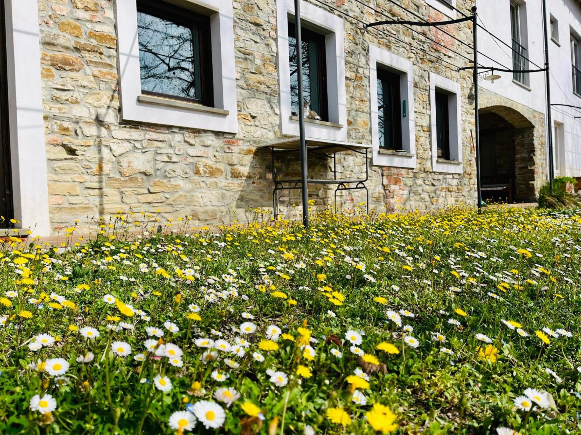 B&B Al Giardino Dei Mandorli Prasco Exterior foto